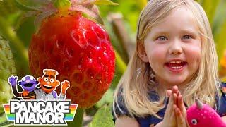 Strawberries!  Educational Video for Kids and Toddlers