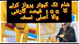 PIGEONS FLYING MEDICATED BEST 100 % CORRECT FORMULA |  JETH , BEYSAKH ,ASOOJ HAR MUSAM K LIYE NUSKHA