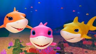 Rainbow Playtime  | Cheerful and Colorful  | Sing a Song  | Baby Shark  | | Happy Baby