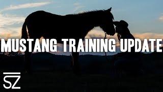 Mustang Training Update