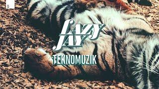 Lazy Jay - Teknomuzik [Big & Dirty Records]