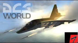 Mein Senf zu: DCS World