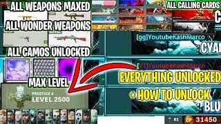 EVERYTHING UNLOCKED in BLACK OPS COLD WAR 2024 #1 BEST ACCOUNT SHOWCASE