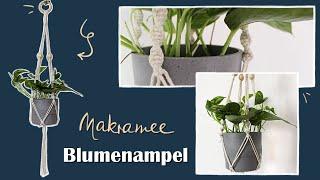 Makramee Blumenampel DIY - schnell & einfach | Sina Liza