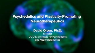 Psychedelics and Plasticity-Promoting Neurotherapeutics - UC Davis Psychedelic Summit 2023