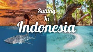 Komodo Dragons, Padar Island, Whale Sharks: 4-Day Boat Adventure from Lombok to Flores