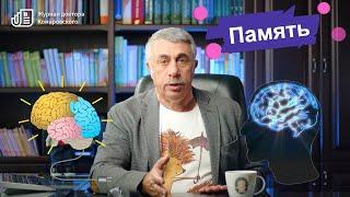 "Плохая память". Почему? Когда начинать волноваться? Как помочь?