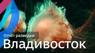 Владивосток: как русская колония на другой планете. Путешествие на Дальний Восток — Отчёт разведки