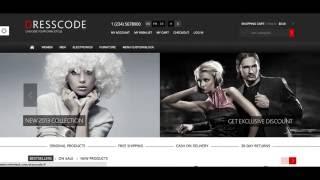 10+ Best Magento Themes