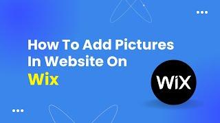 How To Add Pictures In Website On Wix Tutorial