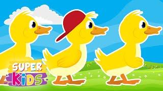 SUPER KIDS -  Little ducks - Kids Songs And Nursery Rhymes