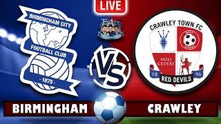 LIVE : Crawley vs Birmingham | ENLISH PREMIERE LEAGUE 2024/25| #englishpremierleague