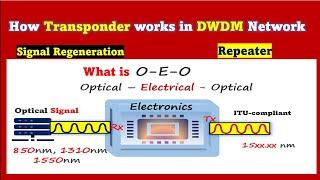 Transponder in DWDM Network || CDC ROADM | Contentionless ROADM |  DWDM, OTN, Optical Fiber