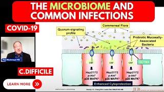 Doctor Reveals Link Between Gut Health and Common Infections Including COVID-19, C.Diff and More