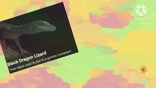 Lizard and its types #youtube #youtubeshorts #ytshorts