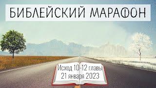 021. Библейский марафон - 2023