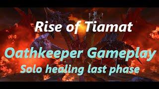 Neverwinter Master Rise of Tiamat Palafin Oathkeeper