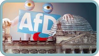 Was die AfD bisher im Bundestag geleistet hat