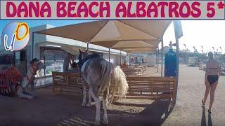 Dana Beach Albatros Resort (Дана Бич Альбатрос)