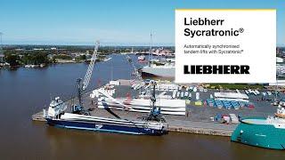 Liebherr -   Tandem lifting crane assistance: Liebherr Sycratronic® for LHM