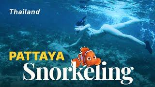 Hidden Gem of Pattaya: Thai Military Island Adventure & Underwater iPhone  Shooting