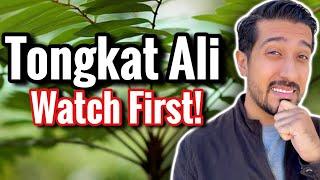 Is Tongkat Ali Worth it? | Watch First Before Trying Tongkat Ali