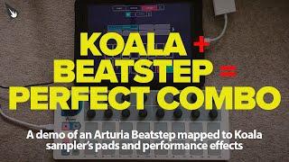 Arturia Beatstep Is the Perfect Controller for Koala Sampler