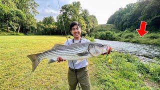 MONSTER FISH Live in this TINY CREEK!!!! (This WASN'T even my BIGGEST CATCH)