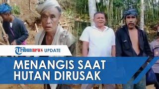 Viral Video Tangis Suku Baduy Hutan Seluas 2 Hektar Dirusak Penambang Liar, Tanahnya Dianggap Sakral