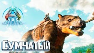 Вышел на Сумчатого Льва - ARK Survival Ascended #15