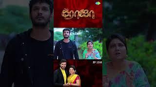 Roja Serial | EP 1316 | #Roja | Sibbu Suryan | Priyanka Nalkari | #shorts #ytshorts #youtubeshorts