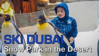 SKI DUBAI Experience!