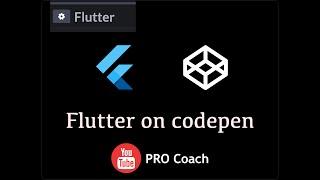 CodePen support for flutter | Hindi | Example