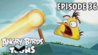 Angry Birds Toons | Fired Up - S1 Ep36