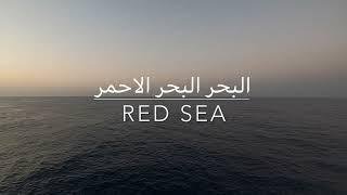 Red Sea 2022 - Brothers, Daedalus, Elphinstone (BDE) Route