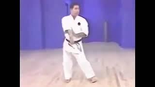 Saifa bunkai goju-ryu karate Morio Higaonna