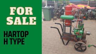 Hartop H type vertical petrol stationary engine first start, Now For Sale