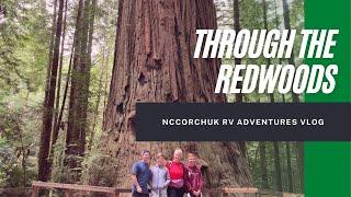 RV Northern California - Redwood Forest Trees of Mystery and San Francisco