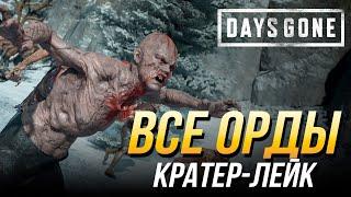 Days Gone - Все орды | Кратер-Лейк