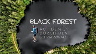 BLACK FOREST - wandern auf dem E1 durch den Schwarzwald