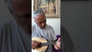 Ν. Λυγερός: Bach 43  #lygeros #music #interpretation #mandolin