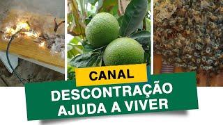 CANAL DESCONTRAÇÃO AJUDA A VIVER