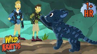 THE BLACK JAGUAR | Full Episodes | Wild Kratts | 9 Story Kids