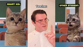 Laugh Out Loud in 8 Minutes with These CAT MEMES SHORTS!  @Ryanhdlombard Compilation #2