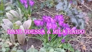 Band ODESSA & Mila Raido   ЛЮБОВЬ ЗАПРЕТНАЯ  Russian LOVE Song