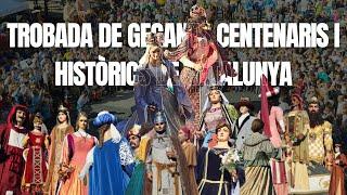 Trobada de Gegants Centenaris i Històrics de Catalunya - 20/10/2024