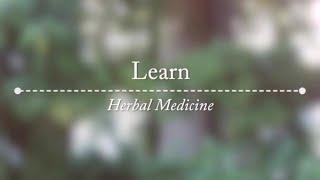 Introducing 2 New Online Programs, Home & Community Herbalism