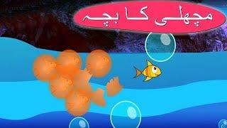 Machli Ka Bacha Urdu Poem | مچھلی کا بچہ | Urdu Nursery Rhyme Collection