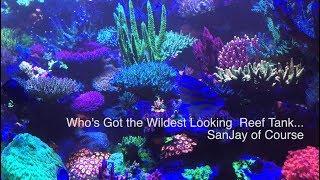 Who's got the best florescent reef tank ....  Sanjay of course - coral fluorescence