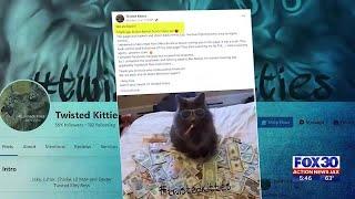 Kitties for ransom | Action News Jax